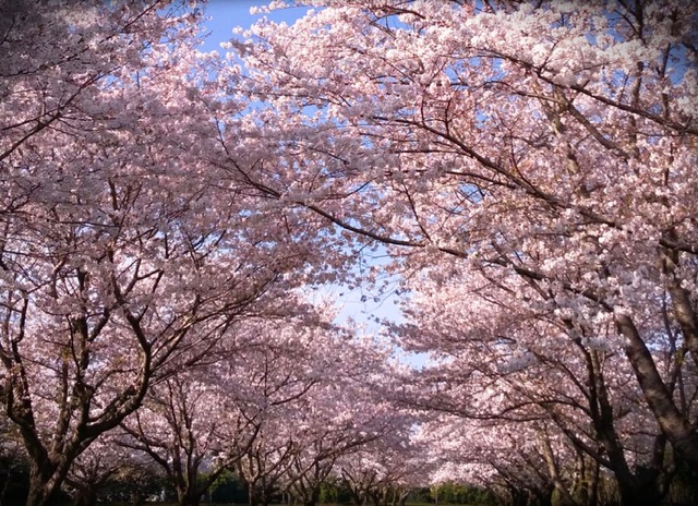 image0.jpeg