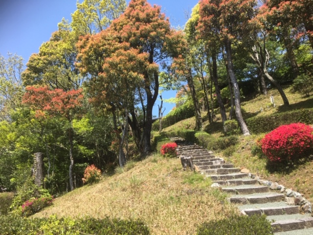 image1.jpeg