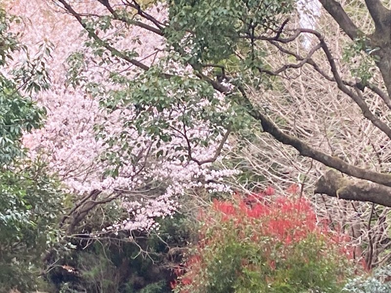 image6.jpeg